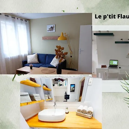 Le P'tit Flaubert- Quartier Coty Apartment *